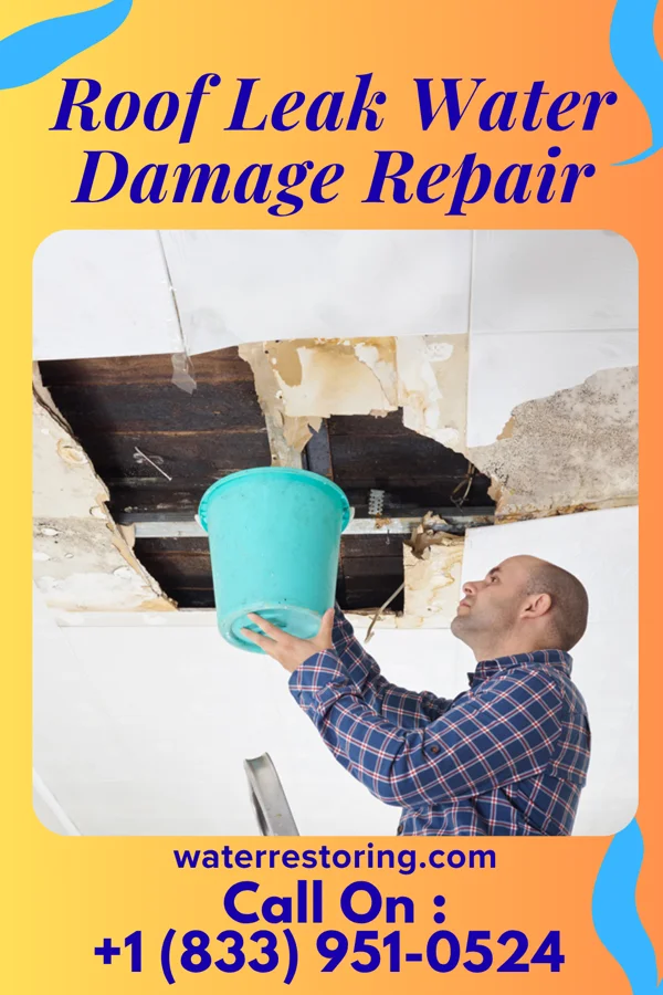 Roof Leak Water Damage Repair in Black Creek, WI
