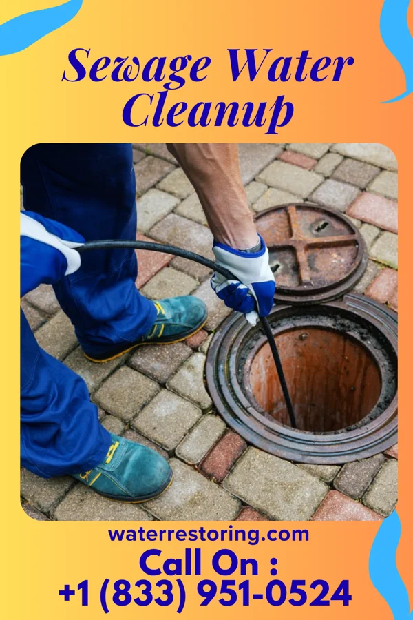Sewage Water Cleanup in Black Creek, WI